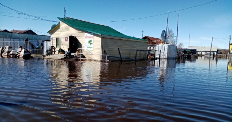 Жилые дома подтоплены паводком в селе Ваеги