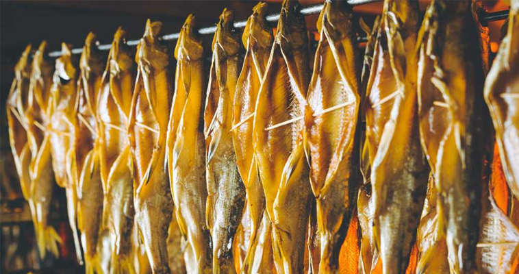 Новый цех по переработке рыбы и оленины откроет в Анадыре резидент ТОР