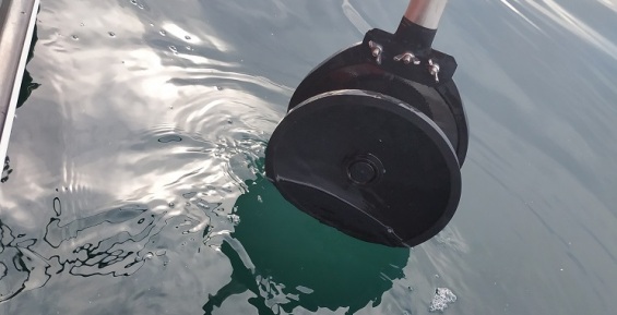 На Чукотке будут изучать китов с помощью звукозаписывающего буя 