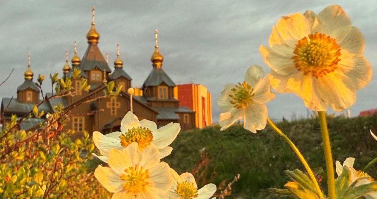 Северо-западный ветер до 15 м/с ожидается в округе в среду