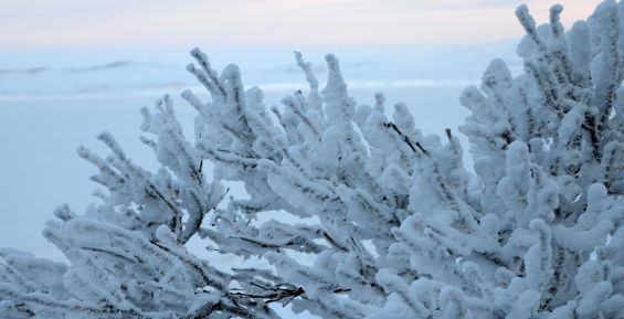 Прогноз погоды по Чукотскому автономному округу на 27 января