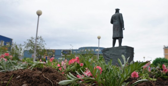 Более пяти тысяч саженцев цветов украсят столицу Чукотки этим летом (ФОТО)