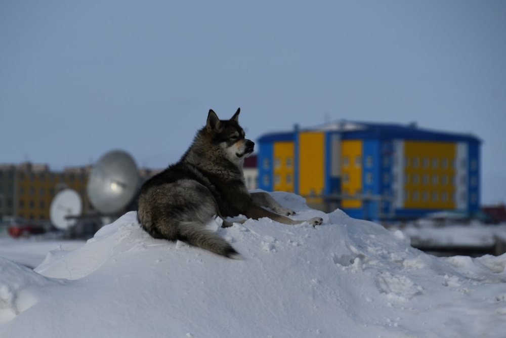В воскресенье в регионе будет облачно 