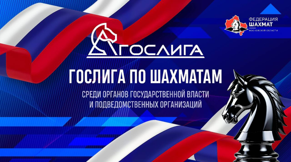 Чукотка заняла седьмое место в Гослиге по онлайн-шахматам