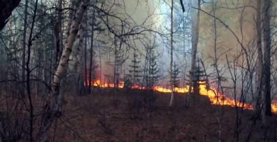 Первый природный пожар потушили на Чукотке