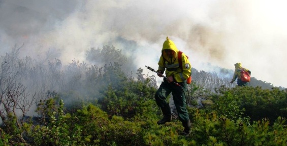 В Билибинском районе отменили режим чрезвычайной ситуации в лесах