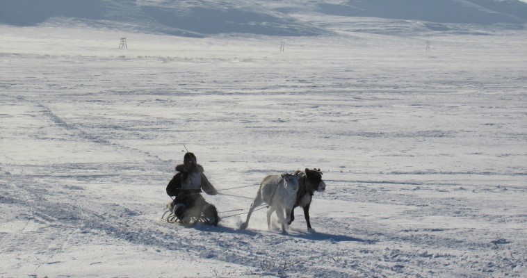 Бег с палкой, метание чаата, гонки на оленях: в Билибинском районе начался &quot;Эракор&quot;