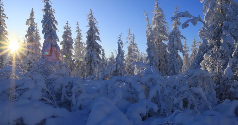 Мороз до -37 ожидается в среду в континентальной части региона