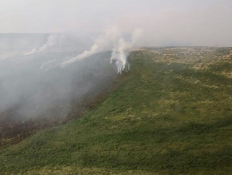 Единственный лесной пожар действует на Чукотке