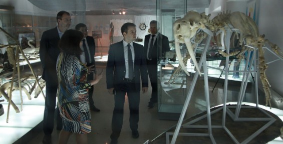 Палеонтологическая выставка «Доисторический мир Чукотки» открылась в Анадыре