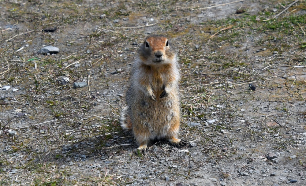 До -2 похолодает в отдельных районах округа в понедельник ночью