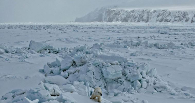 Небольшой снег пройдет в понедельник в районе Берингова пролива