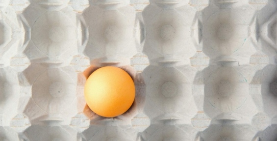 Предприниматели: Дефицит куриных яиц в Анадыре вызван повышенным спросом