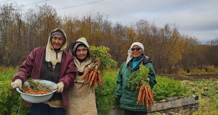 Почти 1350 "Дальневосточных гектаров" выдали на Чукотке