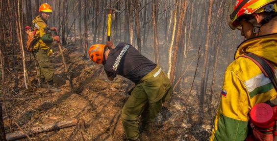 Крупный лесной пожар локализовали в Билибинском районе