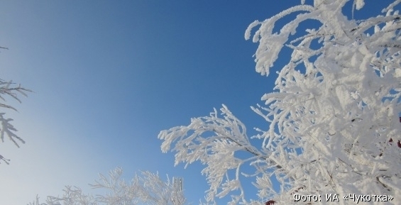 Прогноз погоды в Чукотском автономном округе на 19 января
