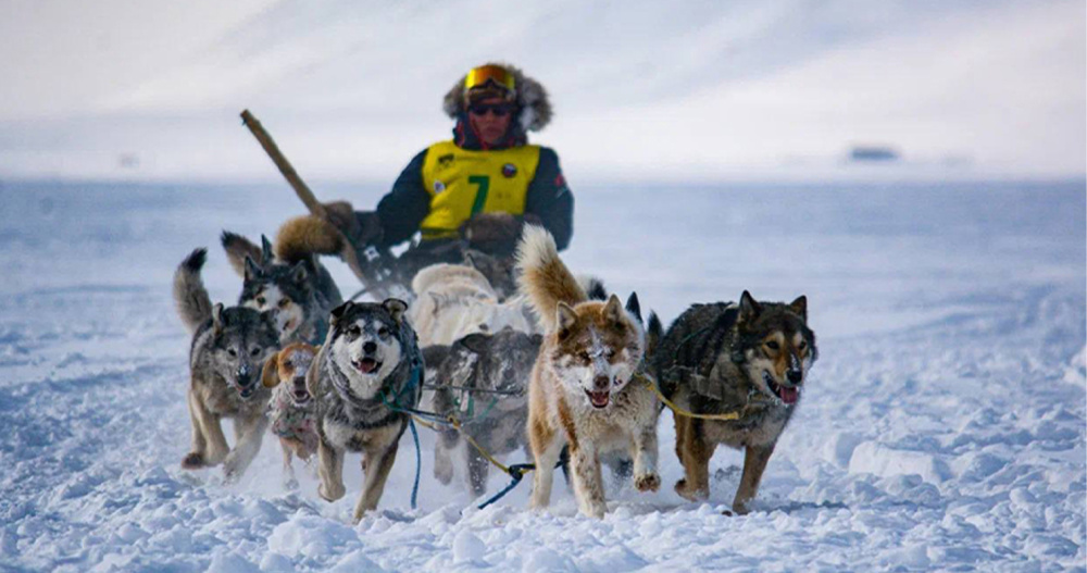 Половину участников окружной гонки "Надежда" в этом году составила молодёжь