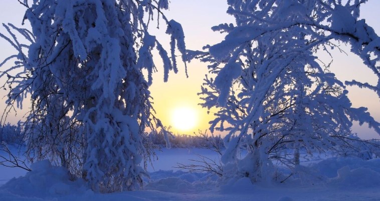 Мороз до -42 ожидается во вторник в континентальной части округа