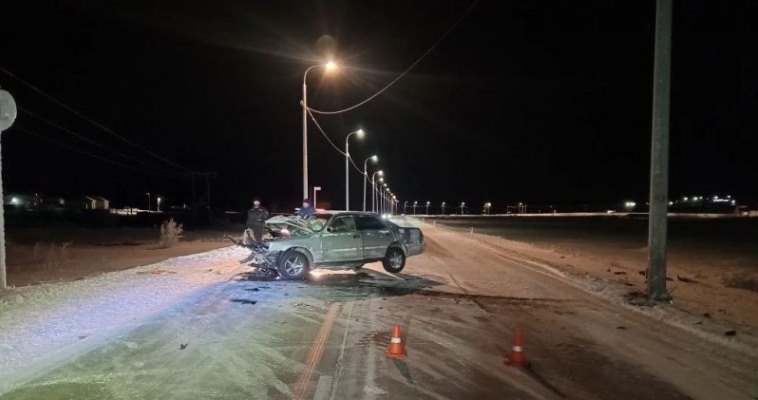 Безнадзорная собака стала причиной ДТП в Анадыре