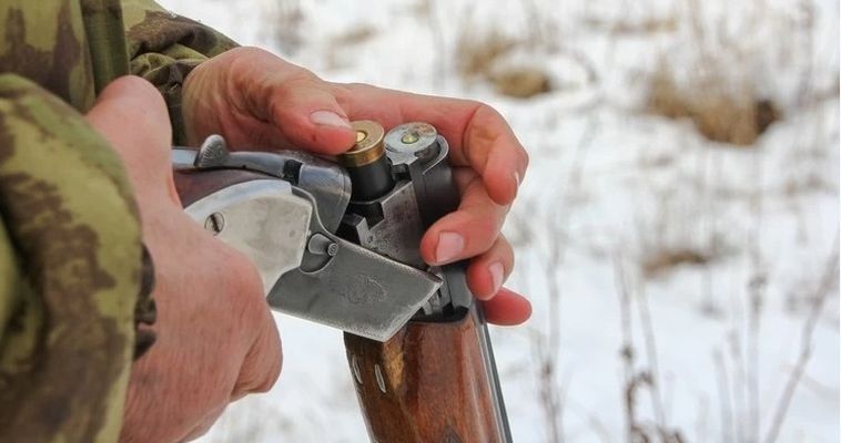 Первая в 2024 году группа оленеводов Чукотки получила разрешение на оружие