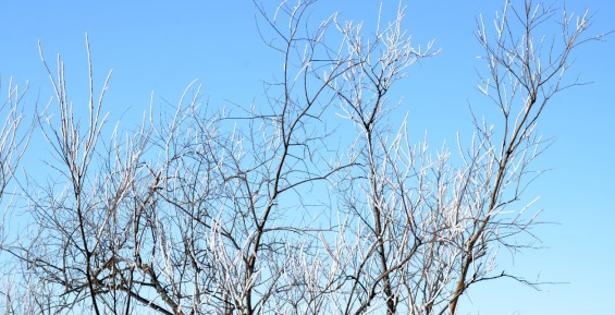 В пятницу на западе округа возможен снег