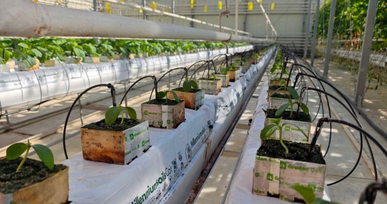 Подготовку к открытию аграрных классов завершают на Чукотке