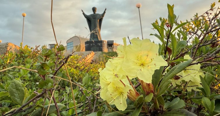 Небольшой дождь в пятницу возможен на востоке округа