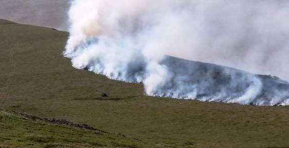 На Чукотке зарегистрировали три новых лесных пожара