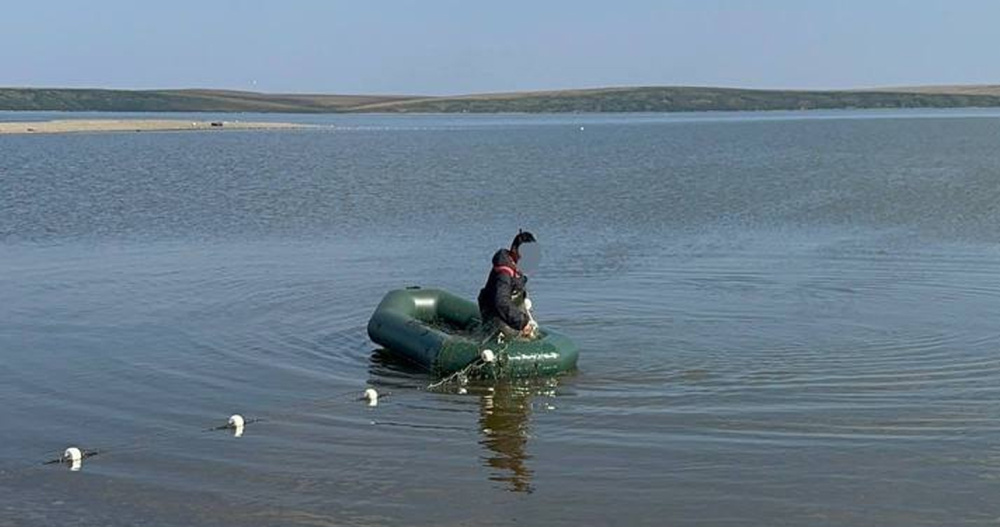 Уголовное дело в отношении четверых браконьеров направили в суд на Чукотке