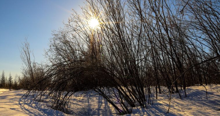 В субботу осадки в округе маловероятны