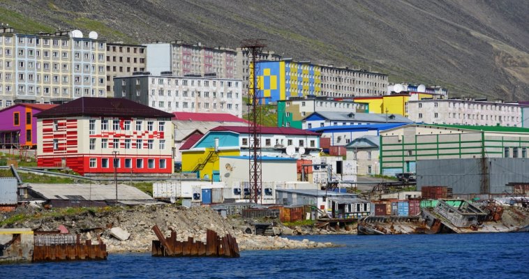 Трихинеллёз у бездомных собак выявили в Провидения