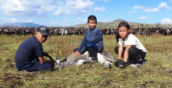 Семьи чукотских оленеводов начали получать выплаты на детей