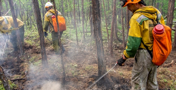 Пять лесных пожаров действуют на Чукотке