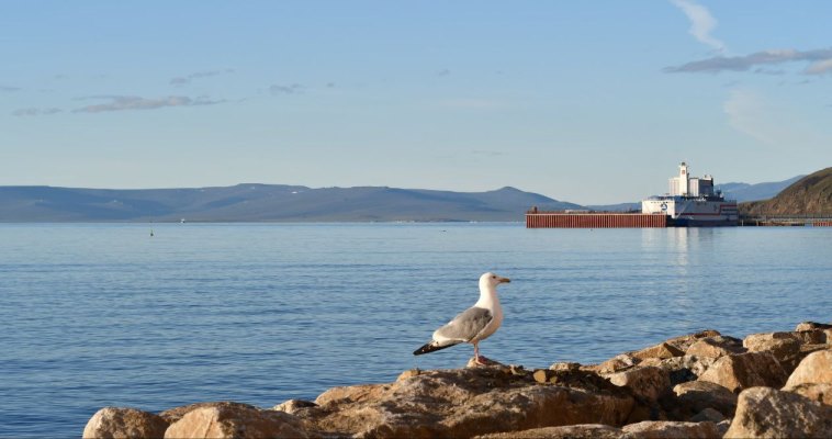 Ветер до 25 м/с ожидается в пятницу в Певеке