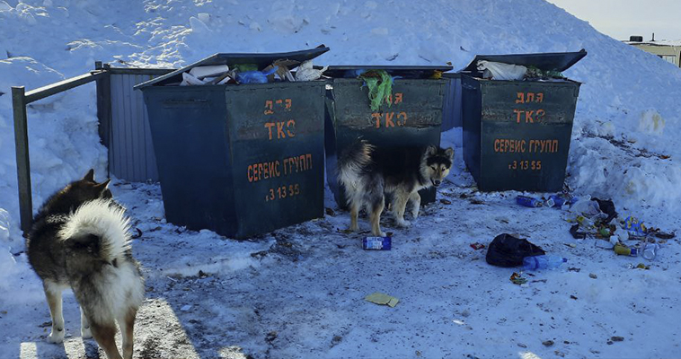Субсидией поддержат оператора по вывозу твёрдых бытовых отходов в Беринговском