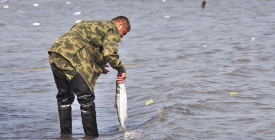 Приём отчётов о традиционном рыболовстве завершается в Чукотском АО