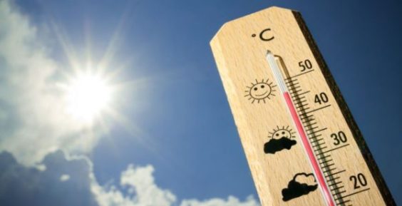 Экстремальная жара в районах Чукотки превысила нормы  многолетних наблюдений