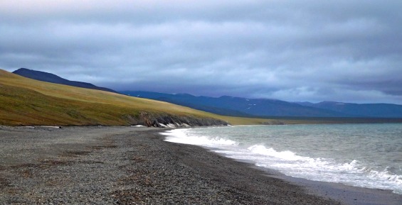 Изменения климата будут изучать на острове Врангеля учёные из Москвы и Перми