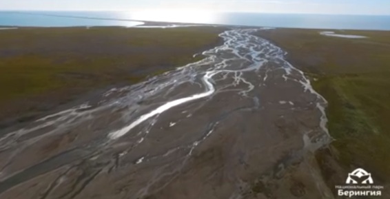Про бескрайнюю арктическую тундру нацпарка «Берингия» сняли фильм