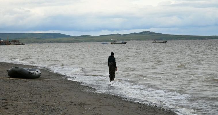 Временный запрет на добычу лососей ввели на Чукотке