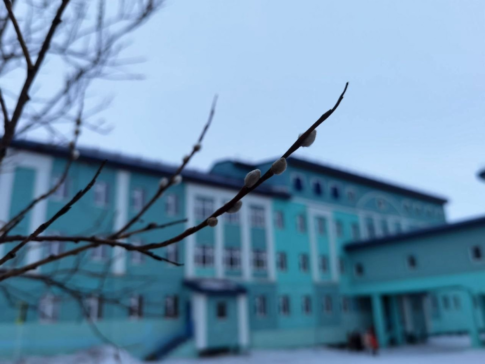 В понедельник в регионе будет облачно, возможен небольшой снег 