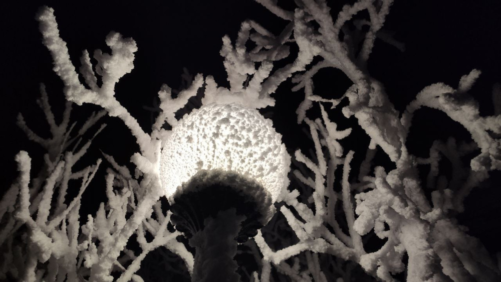 До -25 опустятся столбики термометров в регионе в четверг ночью