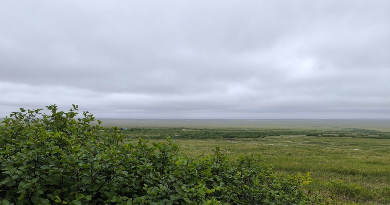В пятницу в регионе будет облачно