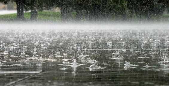 В двух районах Чукотки пройдут обильные дожди
