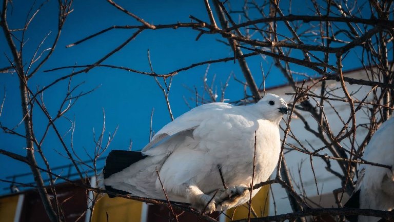 В субботу осадков в округе не ожидается