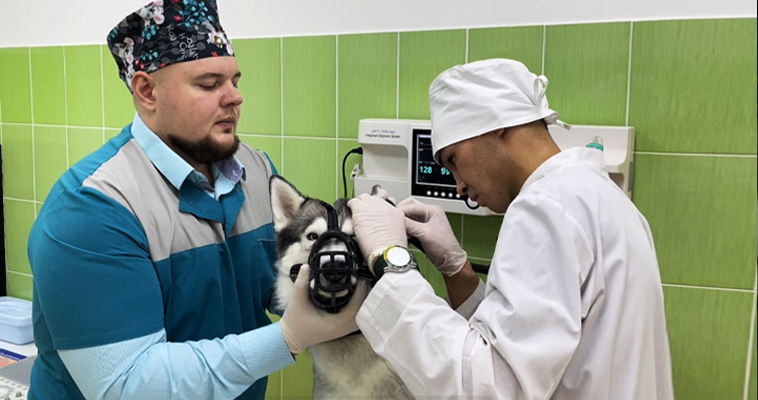 Мастерские для студентов-ветеринаров открылись в Чукотском полярном техникуме
