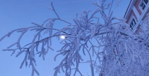 Во вторник в континентальной части региона ожидается мороз до -35 