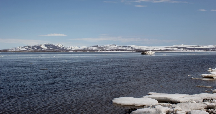 Гидрологи: Анадырский лиман очистится от льда не раньше 20 июня