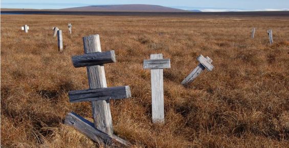 «Дальневосточный гектар» предложили не раздавать на кладбищах