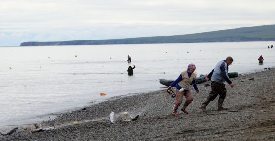 Более 1,7 тыс. заявок на рыболовство подали коренные жители Чукотки